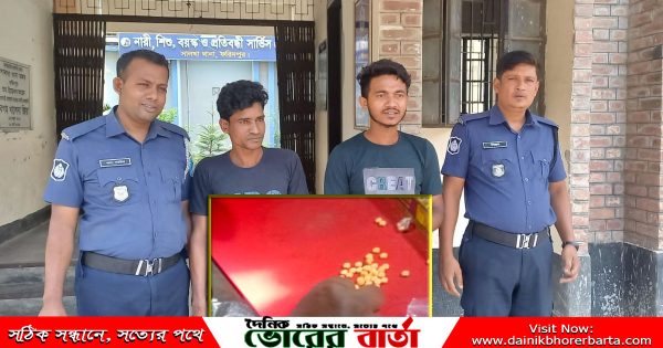 সালথায় ইয়াবাসহ দুই মাদক কারবারী আটক