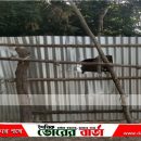 কওমি মাদ্রাসায় দুর্বৃত্তদের হামলা