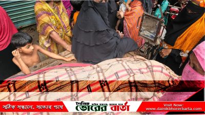 সাইকেলের ধাক্কায় সড়কে ঝরলো