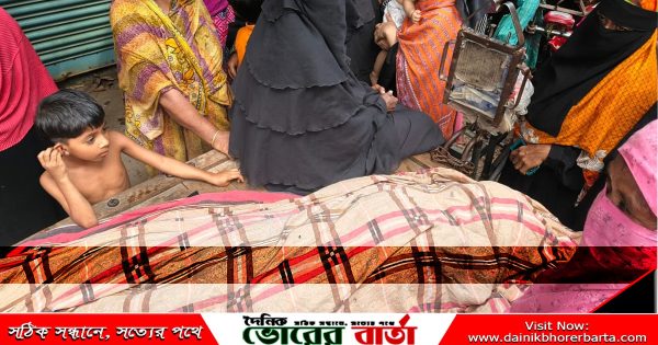 সাইকেলের ধাক্কায় সড়কে ঝরলো