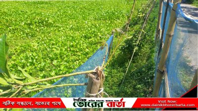 পরিবারকে হত্যা বা বড় ধরনের ক্ষতি করার হুমকি দিচ্ছে