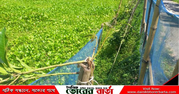 পরিবারকে হত্যা বা বড় ধরনের ক্ষতি করার হুমকি দিচ্ছে