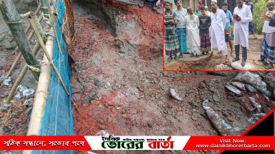 ময়েনদিয়া বাজার থেকে সালথা উপজেলার নকুলহাটি