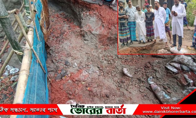 ময়েনদিয়া বাজার থেকে সালথা উপজেলার নকুলহাটি