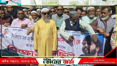 স্বতন্ত্র প্রার্থী শরীফ ওসমান হাদি