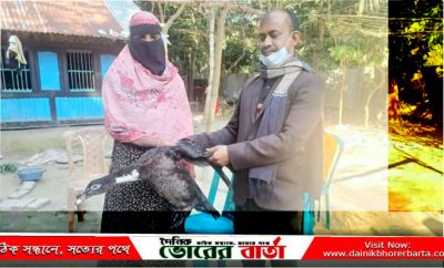 কিস্তির টাকার জন্য নেওয়া হাঁস ফিরিয়ে দিল,অভিযুক্ত এনজিওকর্মী