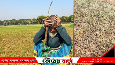 দোকানদারের ভুল পরামর্শে কীটনাশক প্রয়োগের