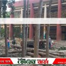 সরকারি প্রাঃ বিদ্যালয়ের গাছ বিক্রি করার অভিযোগ-