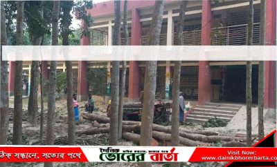 সরকারি প্রাঃ বিদ্যালয়ের গাছ বিক্রি করার অভিযোগ-