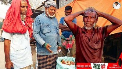 পেঁয়াজের মূল্য কম হওয়ায় কৃষকের মাথায় হাত!