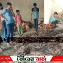 ২৮ লক্ষাধিক টাকার ক্ষতি