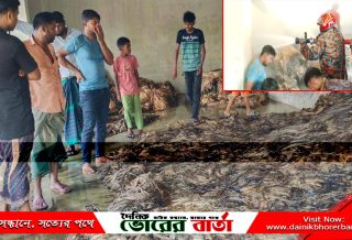 ২৮ লক্ষাধিক টাকার ক্ষতি