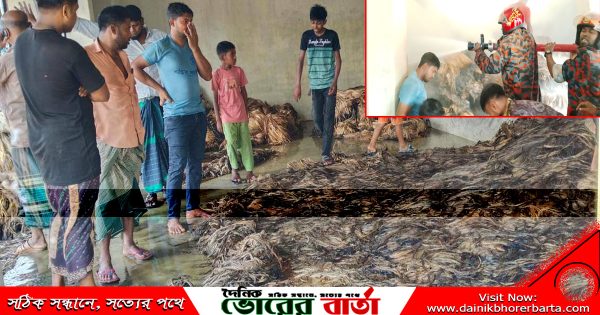 ২৮ লক্ষাধিক টাকার ক্ষতি