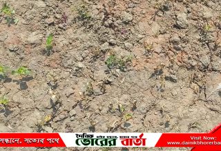 পূর্ব শত্রুতার জেরে পাট ক্ষেতে পচন-কৃষকের লক্ষ টাকার ক্ষতির অভিযোগ