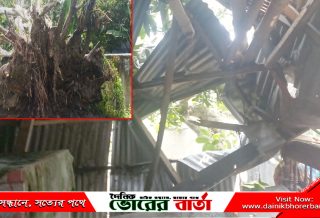 মাথা গুঁজার ঠাঁই শেষ