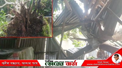 মাথা গুঁজার ঠাঁই শেষ