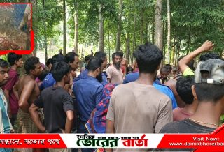 অস্ত্রের মুখে জিম্মি করে ধর্ষণচেষ্টার অভিযোগ