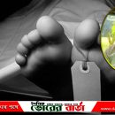 সালথায় নছিমন-ইজিবাইক সংঘর্ষে প্রাণ গেল চালকের
