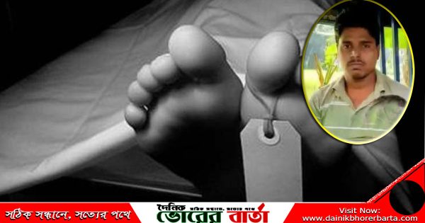 সালথায় নছিমন-ইজিবাইক সংঘর্ষে প্রাণ গেল চালকের
