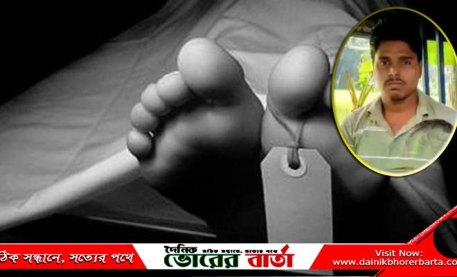 সালথায় নছিমন-ইজিবাইক সংঘর্ষে প্রাণ গেল চালকের