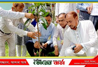 জয়ঝাপ সঃপ্রাঃ বিদ্যালয়ে বৃক্ষরোপন কর্মসূচির উদ্বোধণ
