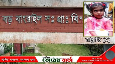 সালথায় মোটরসাইকেলের ধাক্কায় শিশুর মৃত্যু, ৪ লাখ টাকায় মীমাংসার অভিযোগ