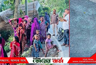 সালথায় নানা বাড়ি থেকে ফেরার পথে সড়ক দুর্ঘটনায়