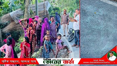 সালথায় নানা বাড়ি থেকে ফেরার পথে সড়ক দুর্ঘটনায়
