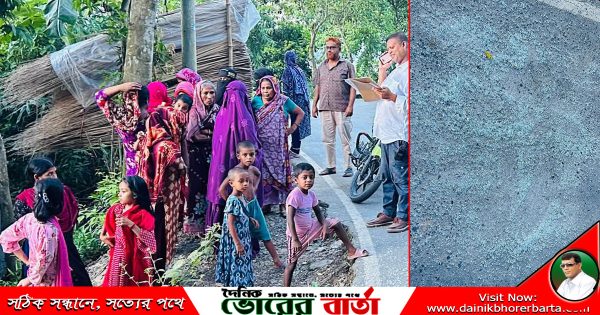 সালথায় নানা বাড়ি থেকে ফেরার পথে সড়ক দুর্ঘটনায়