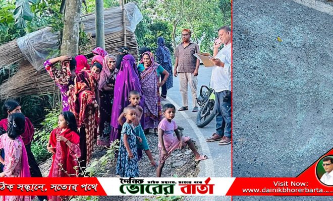 সালথায় নানা বাড়ি থেকে ফেরার পথে সড়ক দুর্ঘটনায়