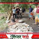 আলফাডাঙ্গায় পুকুরে বিষ প্রয়োগ করে মাছ নিধন