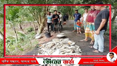 আলফাডাঙ্গায় পুকুরে বিষ প্রয়োগ করে মাছ নিধন