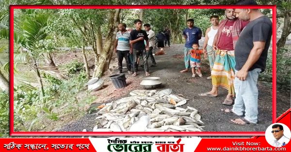 আলফাডাঙ্গায় পুকুরে বিষ প্রয়োগ করে মাছ নিধন