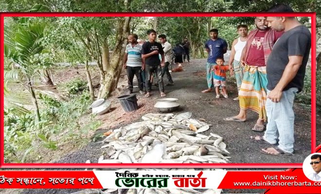 আলফাডাঙ্গায় পুকুরে বিষ প্রয়োগ করে মাছ নিধন