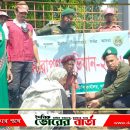 ১ হাজার তালের বীজ