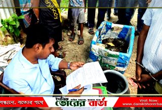 কচ্ছপ বিক্রির দায়ে বিক্রেতাকে তিন মাসের