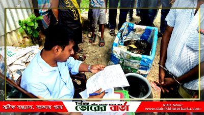 কচ্ছপ বিক্রির দায়ে বিক্রেতাকে তিন মাসের