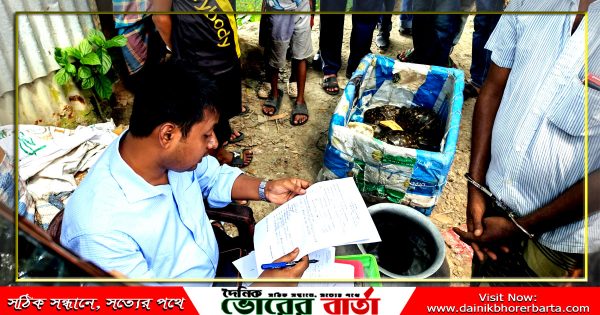 কচ্ছপ বিক্রির দায়ে বিক্রেতাকে তিন মাসের