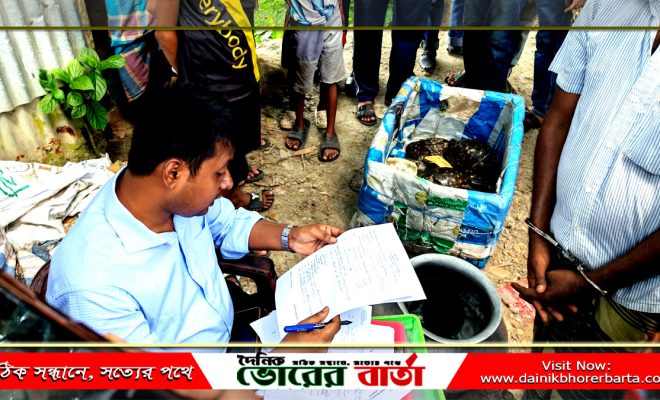 কচ্ছপ বিক্রির দায়ে বিক্রেতাকে তিন মাসের